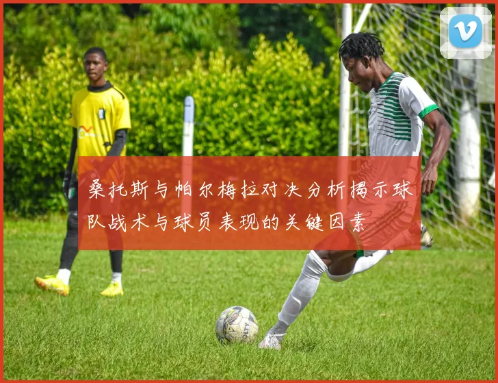 桑托斯与帕尔梅拉对决分析揭示球队战术与球员表现的关键因素